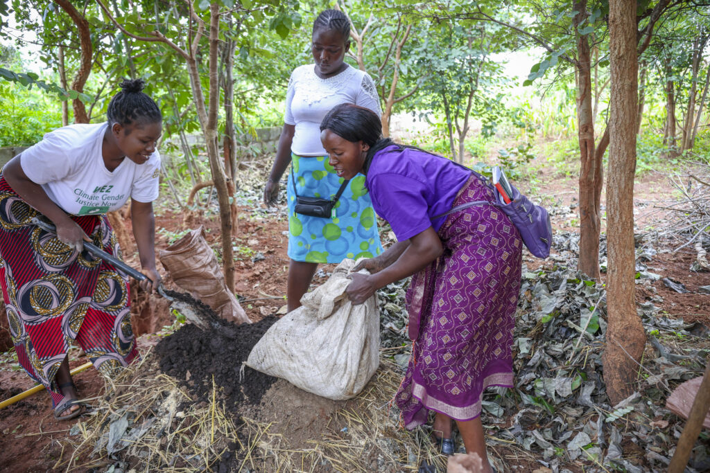 Women farmers in Zambia carrying out composting activities. Credit: CABI