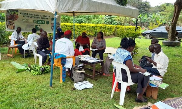 Joint livestock-plant health clinic in Uganda
