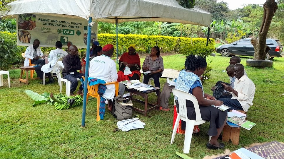 Joint livestock-plant health clinic in Uganda