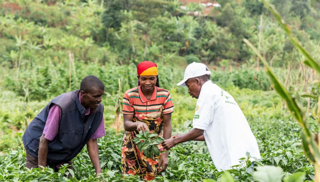 An extension worker talks to two farmers in a field in Burundi