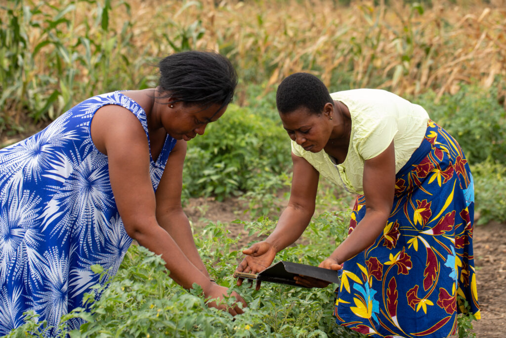 Two female farmers in a field in Ghana using a digital tablet to identify crops.